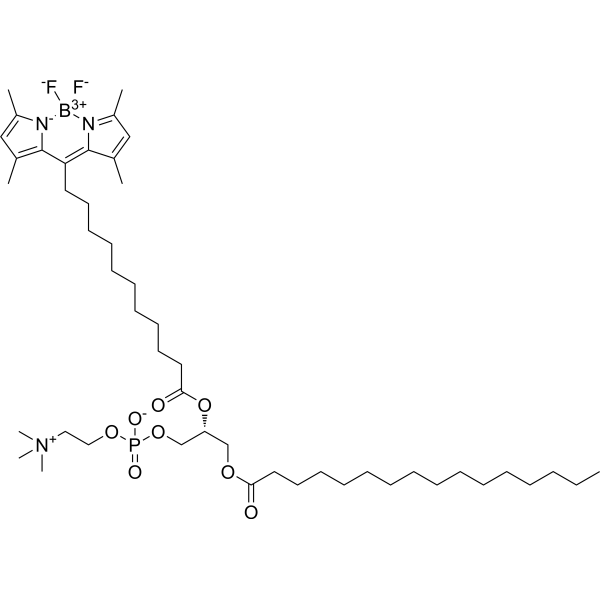 1-Palmitoyl-2-(dipyrrometheneboron difluoride)undecanoyl-sn-glycero-3-phosphocholine 1246355-63-4